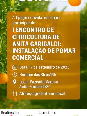 imagem-do-whatsapp-de-2025-09-08-as-15-12-58_73255a59