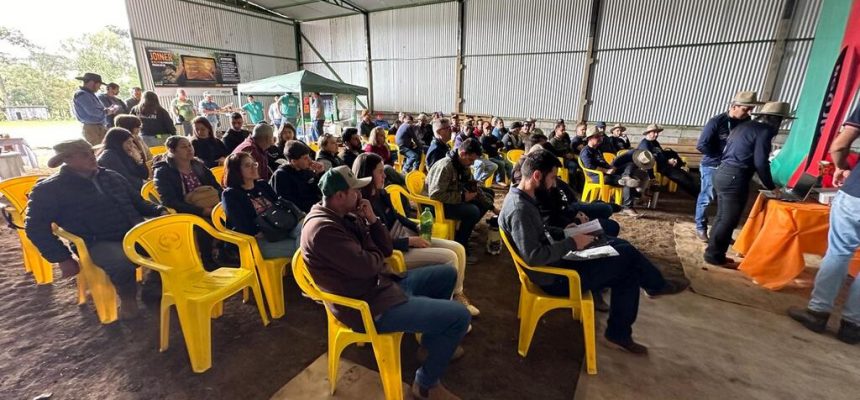 imagem-do-whatsapp-de-2025-09-18-as-14-02-04_4b69d830-2