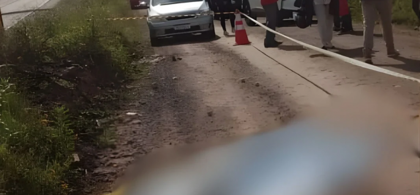 proporcao-site-2025-11-01t110421-103