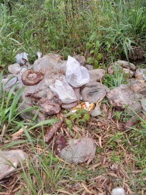 bb060681-3123-4d1a-8d26-5b6bec24b6b7