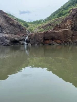 c5a4a4e1-d21e-4f93-9b4b-a1ba4a2b6ba4