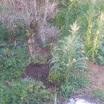 26611d05-9086-463f-887d-d4d492c28d53