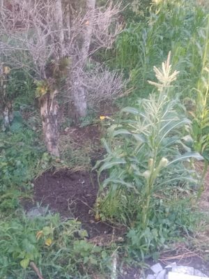 26611d05-9086-463f-887d-d4d492c28d53