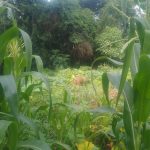 4db9c208-51ca-4823-a75d-6c20949bc6d7