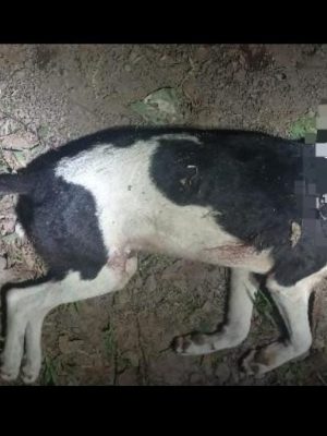 screenshot_20260115_140430_whatsappbusiness