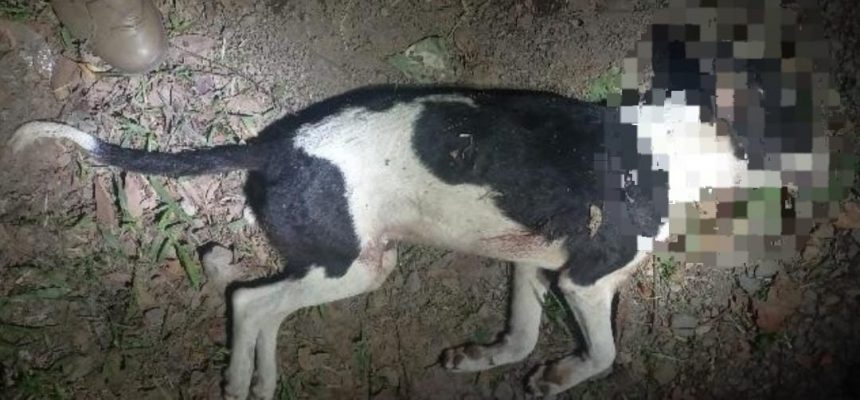 screenshot_20260115_140430_whatsappbusiness