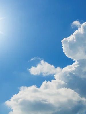 a3333dae-d5c1-4a11-80af-e62fe48338a2