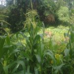 fc2dd9e3-f297-4e98-acc4-05f80bb7030e