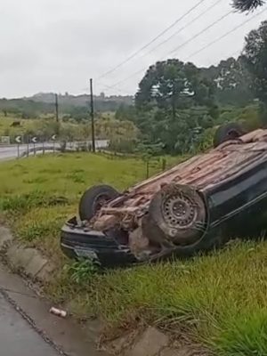 screenshot_20260214_122316_whatsappbusiness