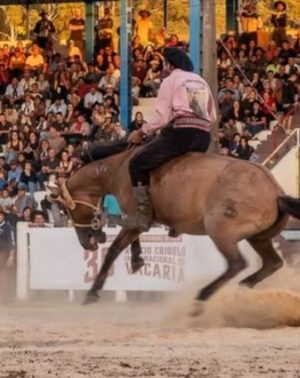 b9d984e3-392a-47d8-a2bd-d81e567b730c