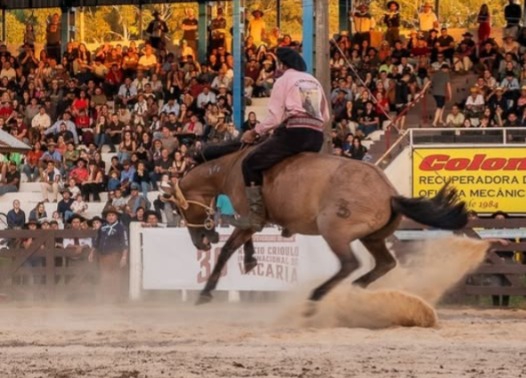 b9d984e3-392a-47d8-a2bd-d81e567b730c