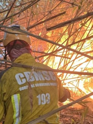 fbaf9ee5-99bb-4c26-b4de-036425596fc1