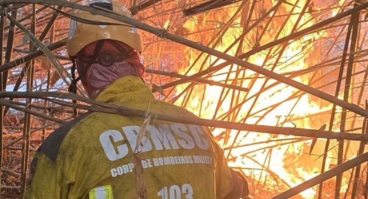 fbaf9ee5-99bb-4c26-b4de-036425596fc1