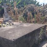 651005096_4248131948783020_8023275455245090673_n