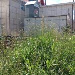 651247939_4248130165449865_1988771298416430158_n