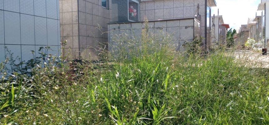 651247939_4248130165449865_1988771298416430158_n-860x400