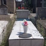 652665082_4248130555449826_2937296398453580118_n