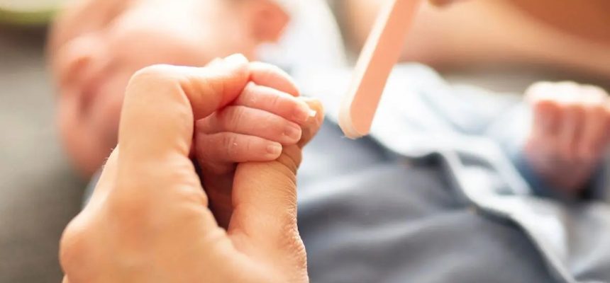 84616789-e4bc-4517-a9c4-a023866cf5d2