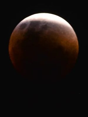 8ada8994-fb36-47f8-a85d-327ed70fad26