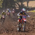 94f9c0f4-a3bd-4eff-8fff-28d5afb18239