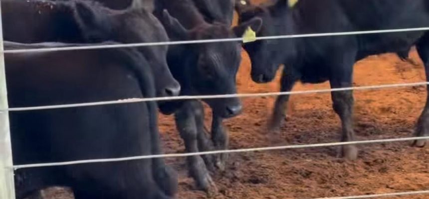 9d5bf813-5f4c-42c1-ae79-ebd19b7a5ed9