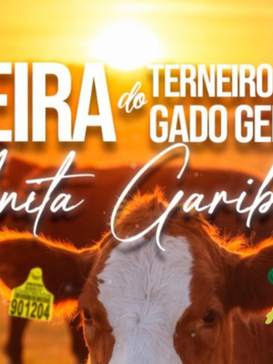 design-sem-nome