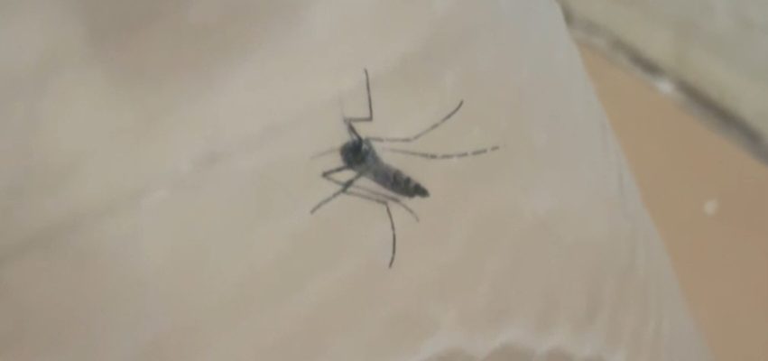 screenshot_20260318_173702_whatsappbusiness