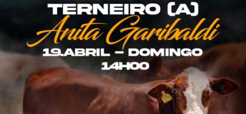 0f03b6bf-70c0-4137-9d7f-17e1c1778f97