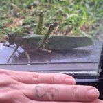 0f377da2-1764-4010-960c-ba69c9c84187