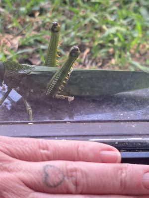 0f377da2-1764-4010-960c-ba69c9c84187