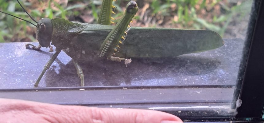 0f377da2-1764-4010-960c-ba69c9c84187