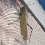 2ea94245-8441-4699-8f0f-faec99bcb138