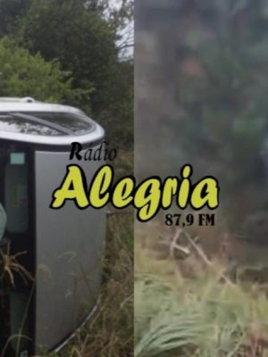 464101e3-ac1a-4aa8-93ed-098de727fec7