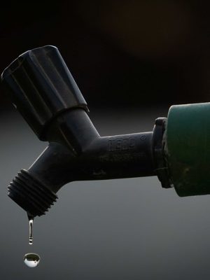 49242597671_3419e6d5fc_c