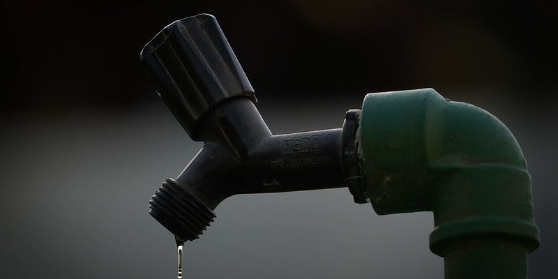 49242597671_3419e6d5fc_c