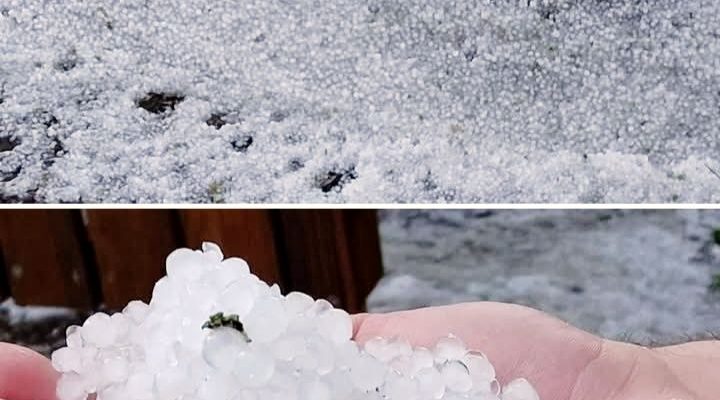 660996789_919429267391676_4673691409329975850_n