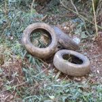 674f57b7-51db-4a16-85b4-0dad0cd3c978