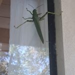 8b996d62-5351-4432-9f17-a38ee14da40e