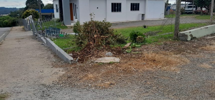 8d2c4278-a349-4ba0-881d-21dc5ef6f824