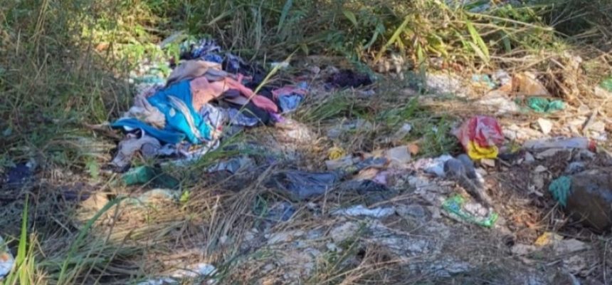 928047e2-610f-4d98-b580-f19ecef4