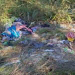 928047e2-610f-4d98-b580-f19ecef4d0cc