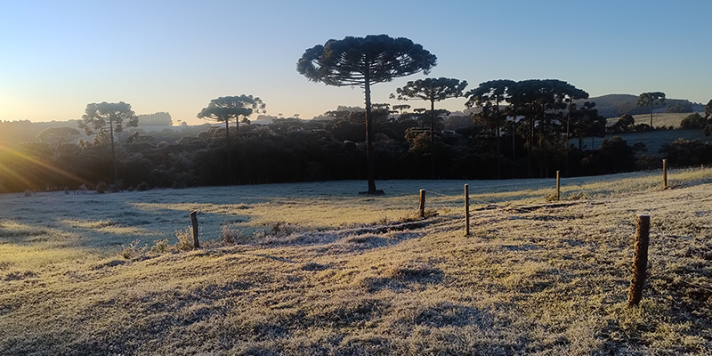 984d67d1-geada-mafra-8