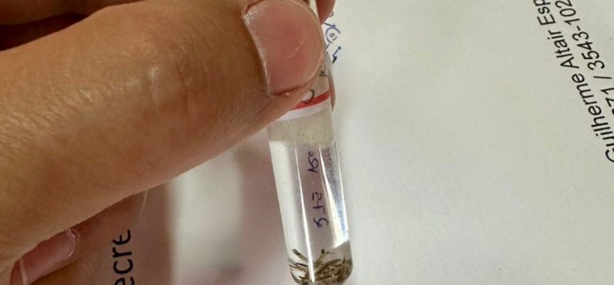 9e016e67-8d55-473b-89bd-a6de975740ba