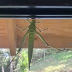 c84150d3-88bc-4631-a337-23f00c16e390