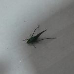 e2a4fdcc-419e-45a3-8708-769af3ba3f31