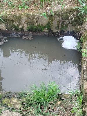 f03701b9-4774-4b55-9658-8c68aa82419e