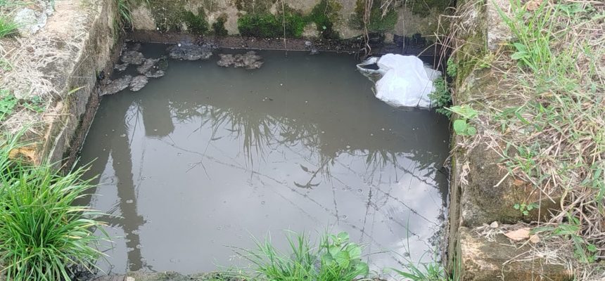 f03701b9-4774-4b55-9658-8c68aa82419e