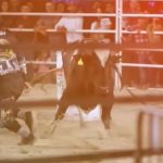 f16a4850-ee2f-46a2-8abd-746fa8f07cd9