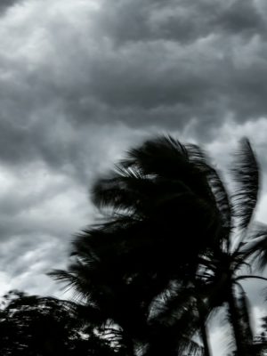 925b0e81-7074-4a0d-831d-bc1a9e72beaa