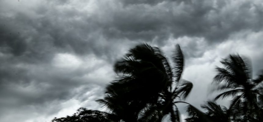 925b0e81-7074-4a0d-831d-bc1a9e72beaa